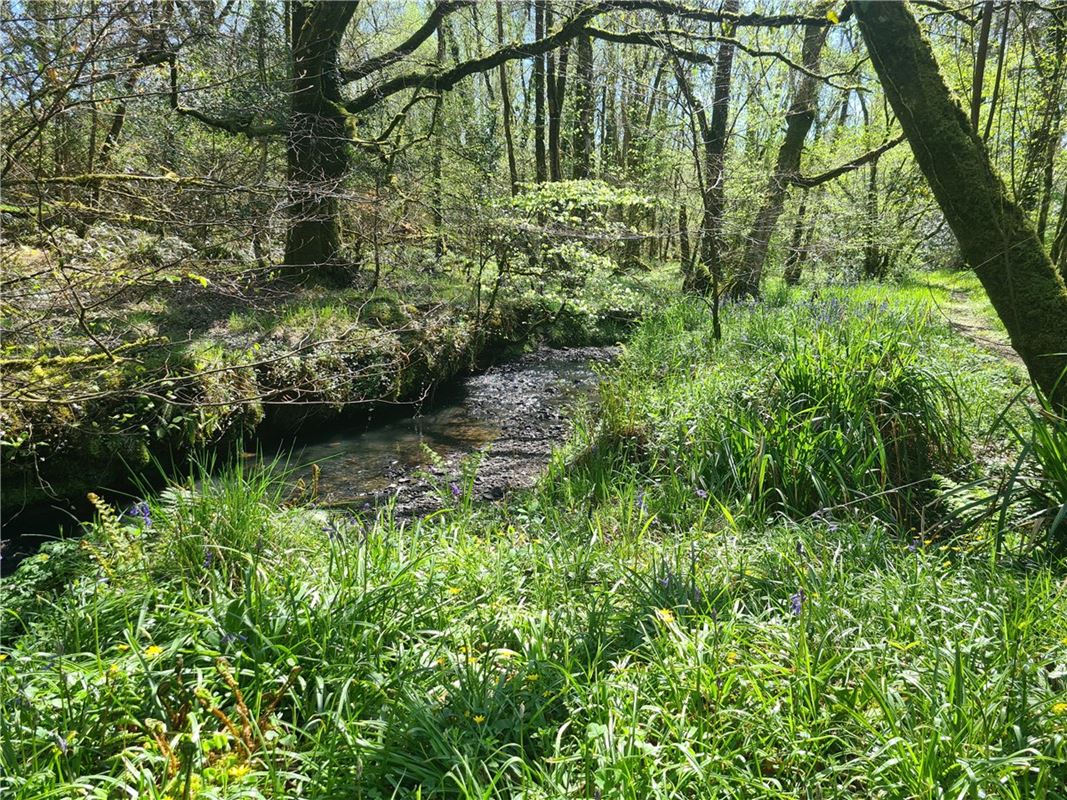 4 bedroom house, Cookbury Court, Cookbury EX22 - Available