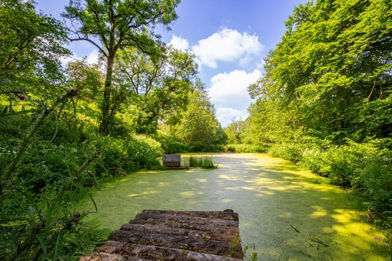 4 bedroom house, Cookbury, Holsworthy EX22 - Available