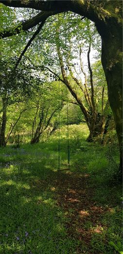 4 bedroom house, Cookbury, Holsworthy EX22 - Available