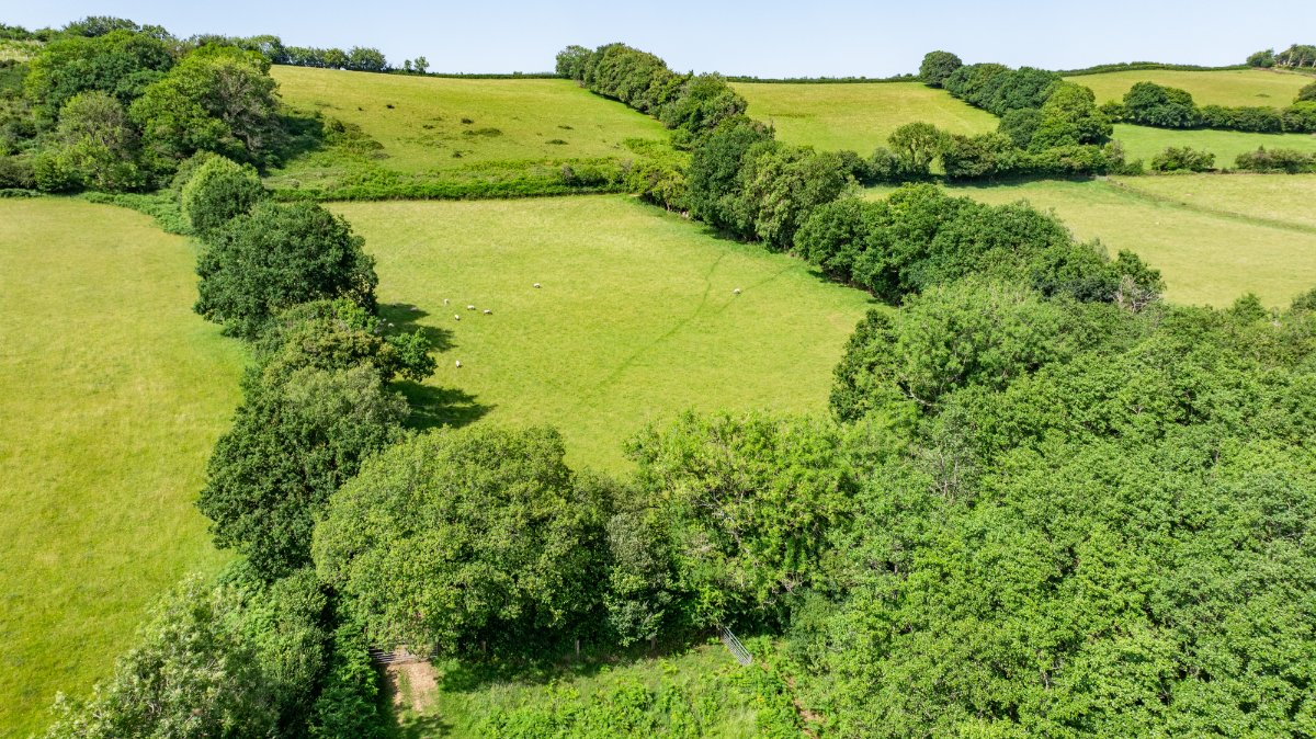 52.7 acres Land, Land At Shillingford, Tiverton EX16 - Sold