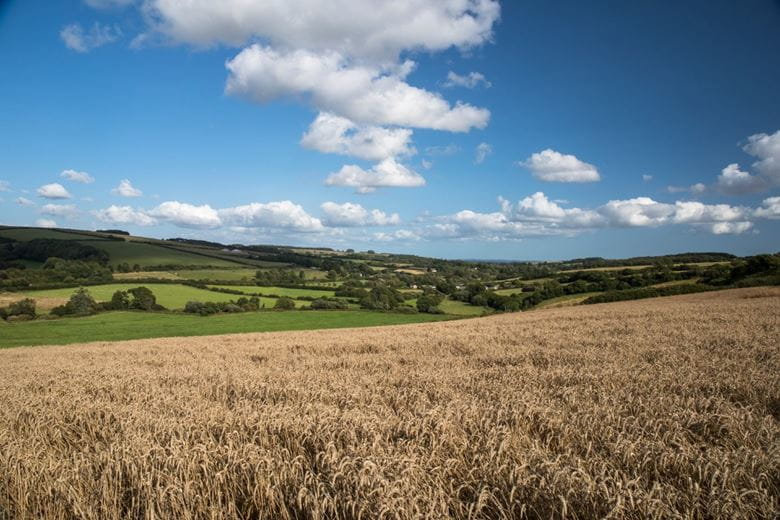 276.9 acres House, Cruxton Manor Farm, Cruxton DT2 - Available