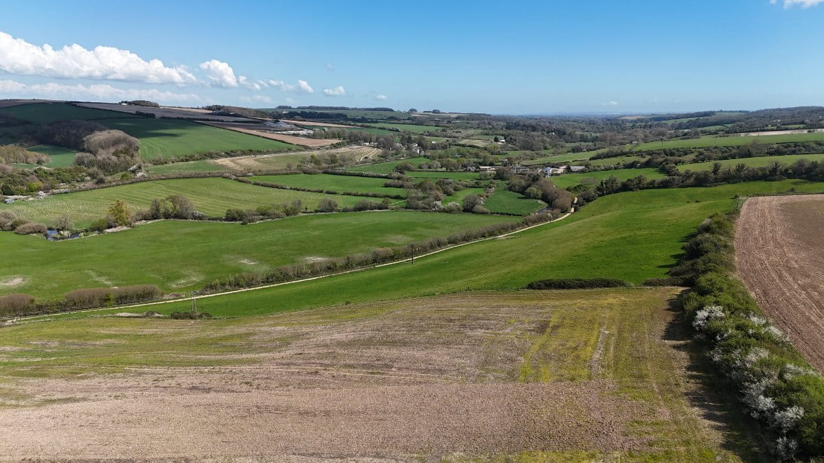 86.1 acres Land, Lot 2: Land At Cruxton Manor Farm, Cruxton DT2 - Available