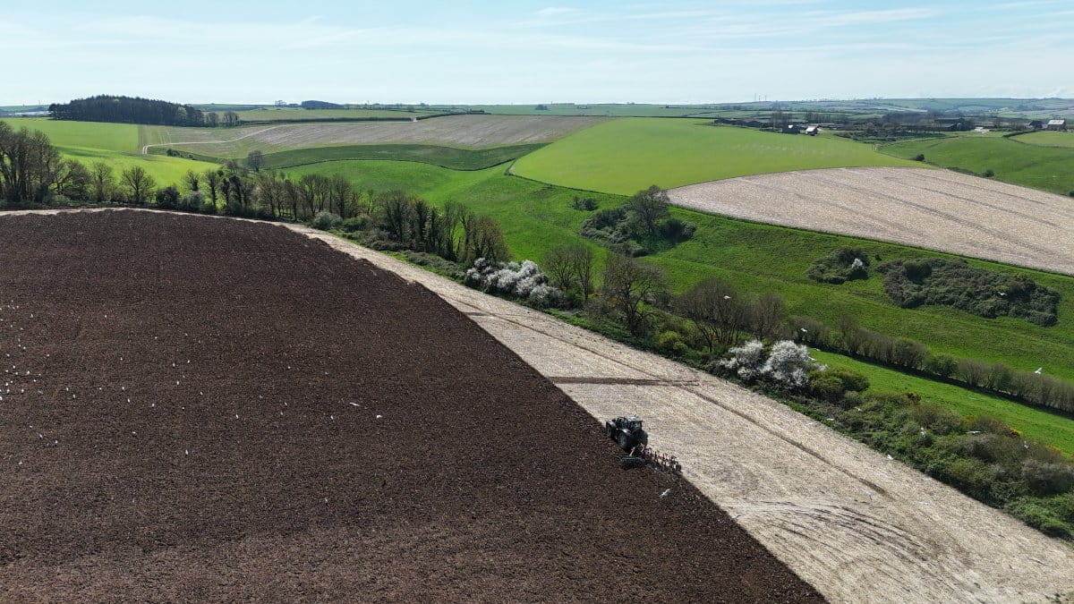 86.1 acres Land, Lot 2: Land At Cruxton Manor Farm, Cruxton DT2 - Available