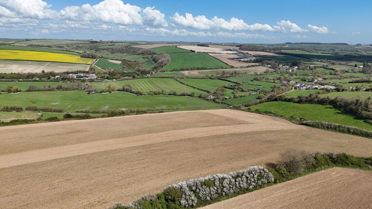 86.1 acres Land, Lot 2: Land At Cruxton Manor Farm, Cruxton DT2 - Available