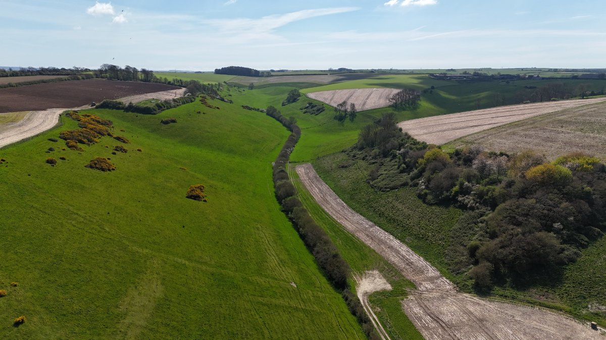 74.3 acres Land, Lot 4: Land At Cruxton Manor Farm, Cruxton DT2 - Available