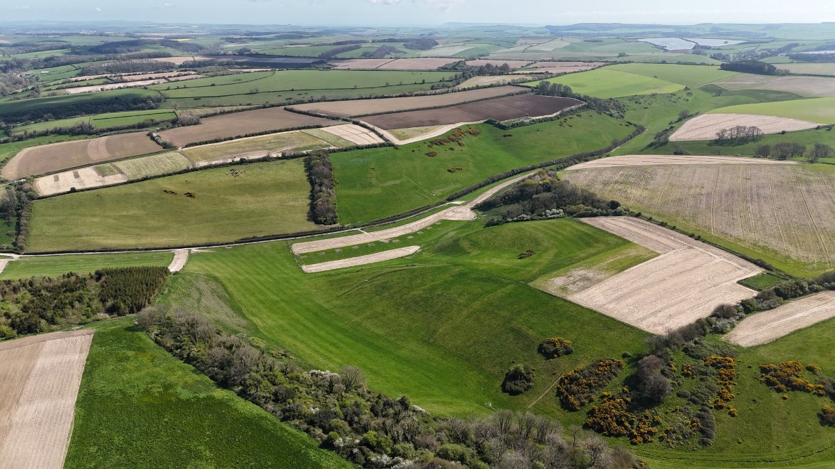 74.3 acres Land, Lot 4: Land At Cruxton Manor Farm, Cruxton DT2 - Available