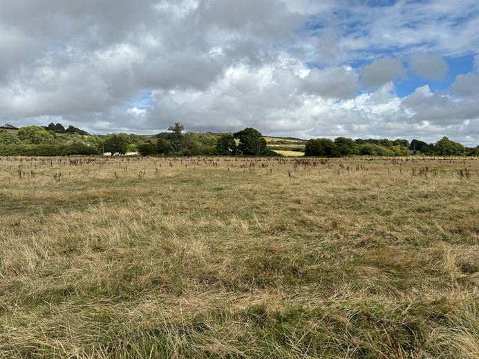 11.2 acres Land, Lot 6: Land At Cruxton Manor Farm, Cruxton DT2 - Available