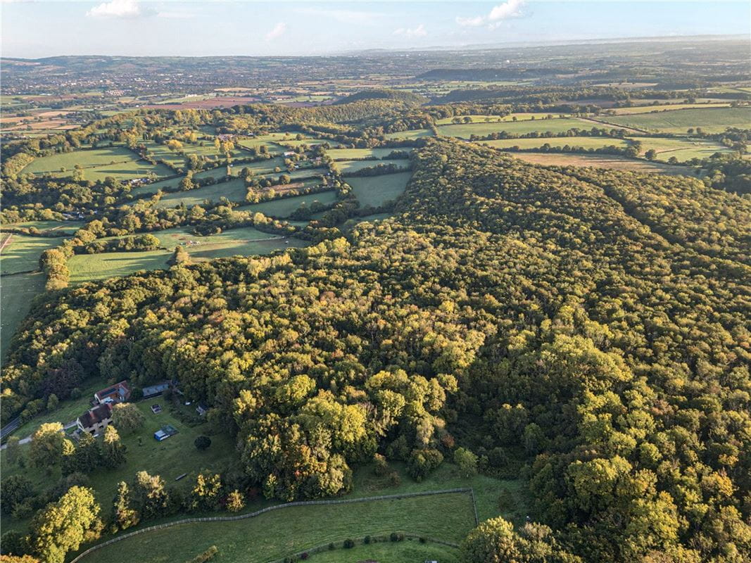 25.5 acres Land, Blake's Copse and Whitford Copse, Corfe TA3 - Available