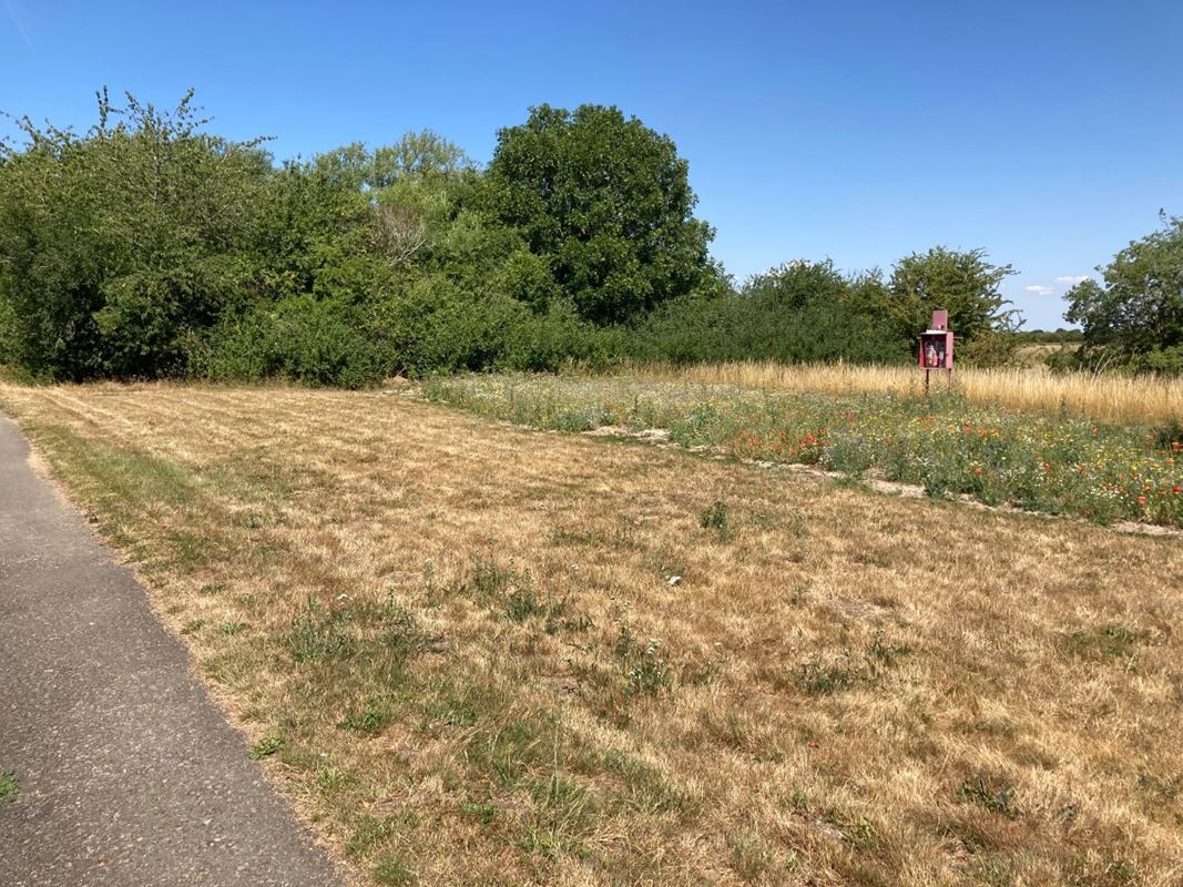  Land, Rushey Lock, Buckland Marsh SN7 - Available