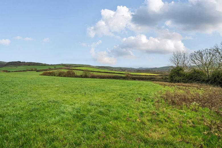 172 acres Farm, Long Bredy, Dorchester DT2 - Available