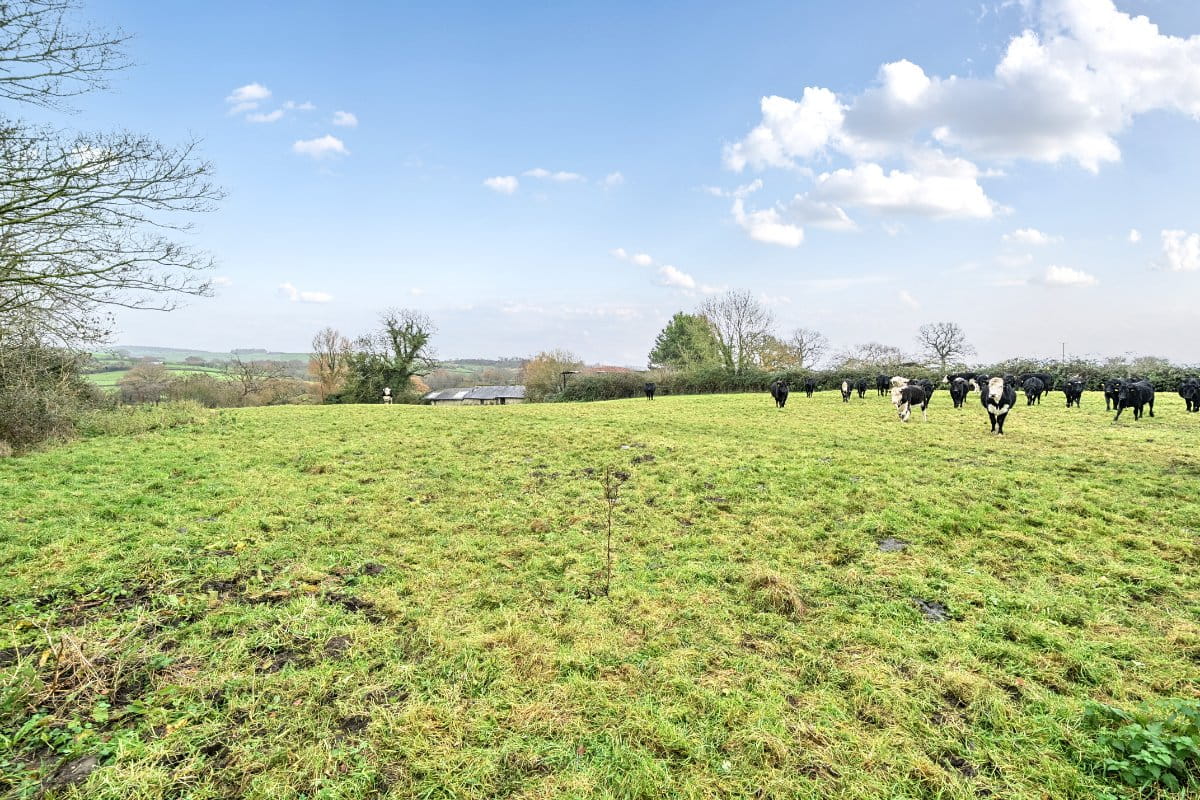 181 acres Farm, Twyford, Shaftesbury SP7 - Available