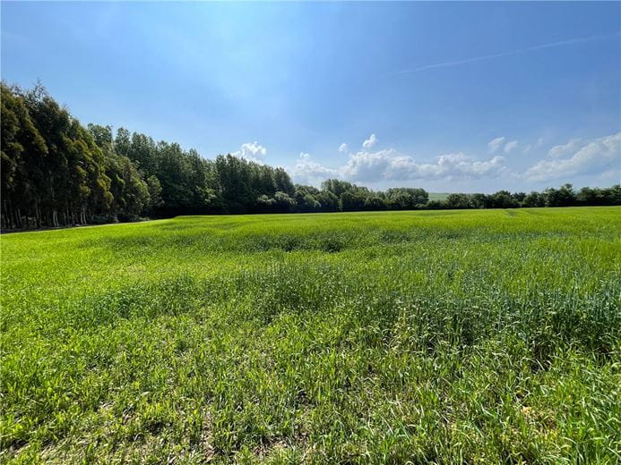 8.6 acres Land, Egloshayle, Wadebridge PL27 - Sold STC