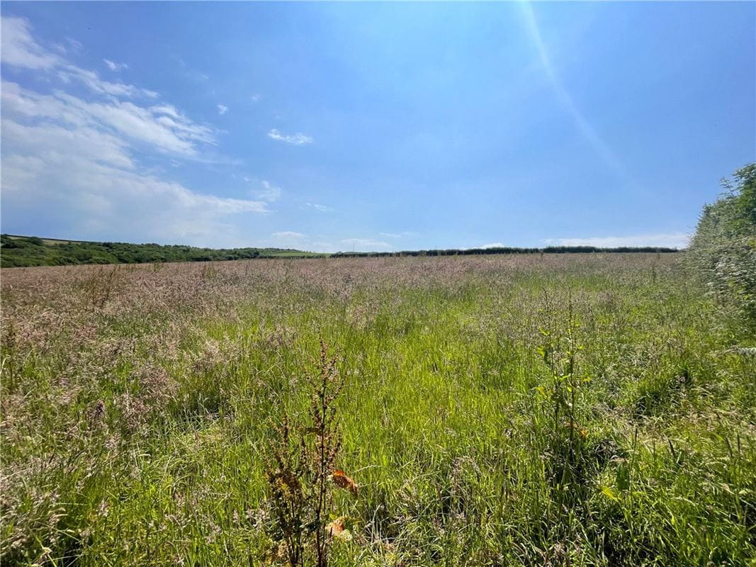 19.4 acres Land, Morwenstow, Bude EX23 - Sold