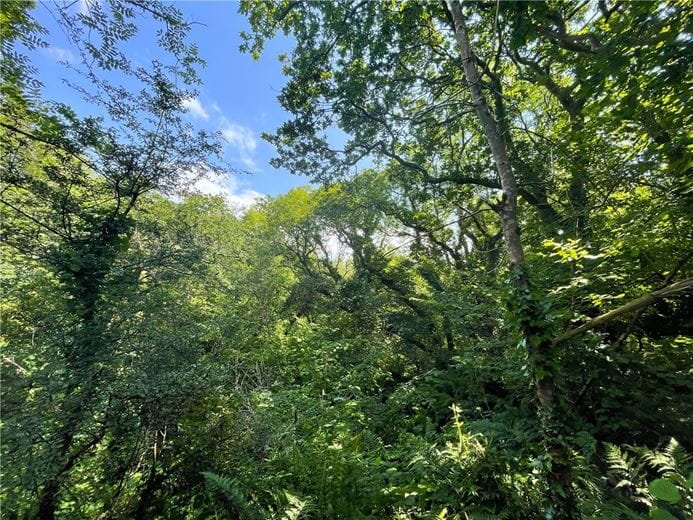 19.4 acres Land, Morwenstow, Bude EX23 - Sold