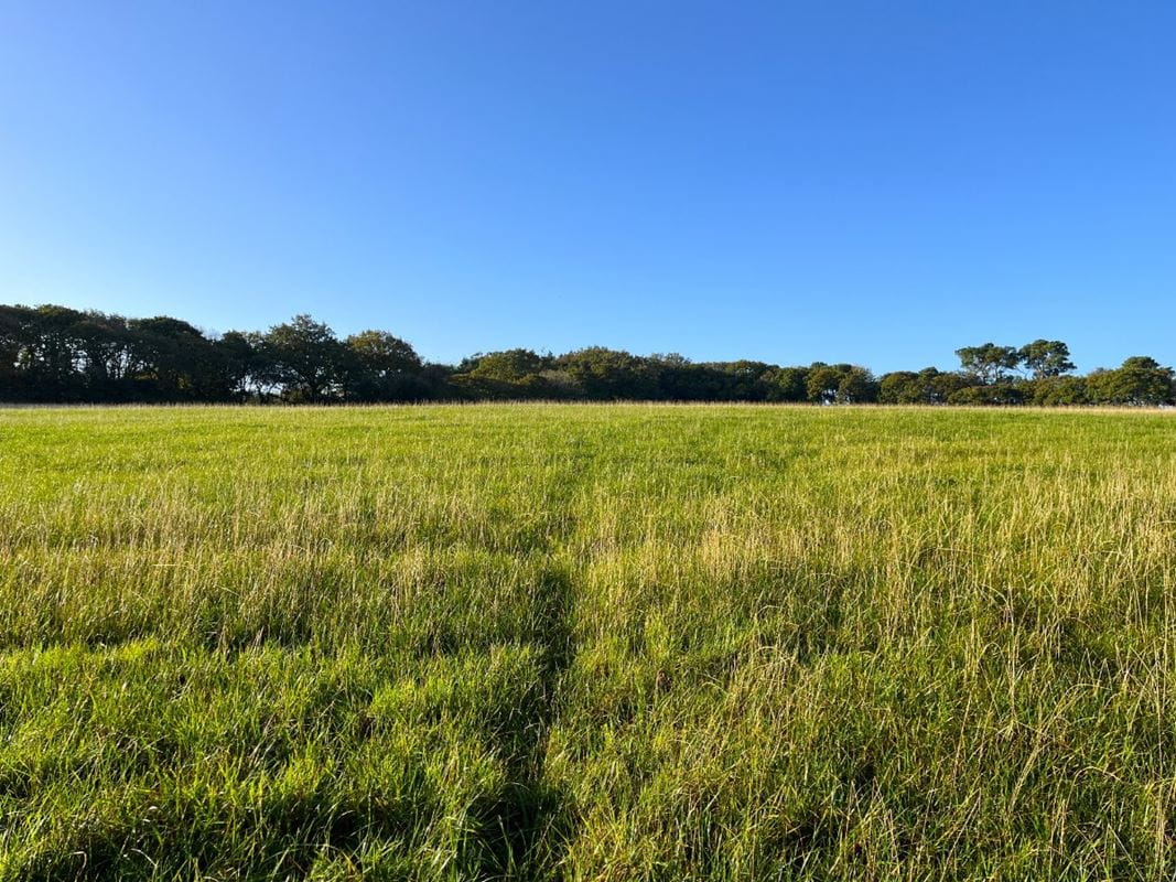 70.7 acres Land, Zelah, Truro TR4 - Sold