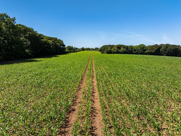 240 acres Land, Praze, Camborne TR14 - Sold