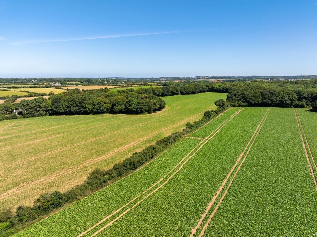 198 acres Land, Praze, Camborne TR14 - Sold