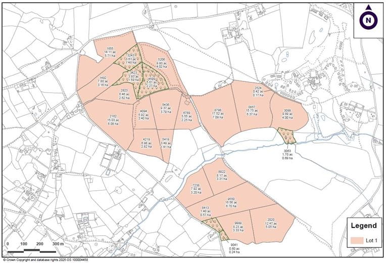 198 acres Land, Praze, Camborne TR14 - Sold