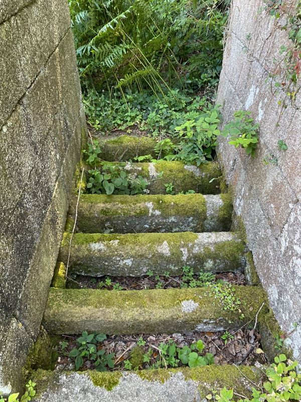 41.7 acres Land, Praze, Camborne TR14 - Sold