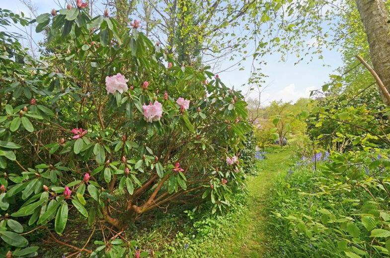 3.2 acres Farm, Hale Mills, Twelveheads TR4 - Available