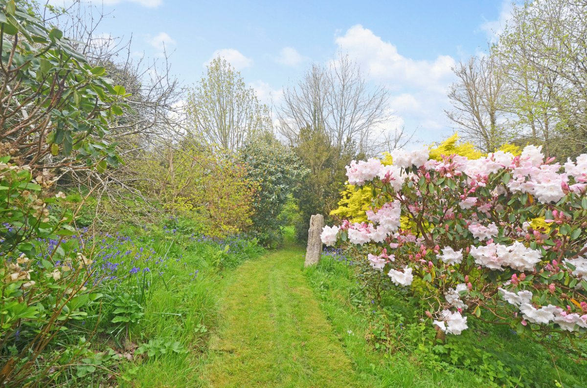 3.2 acres Farm, Hale Mills, Twelveheads TR4 - Available