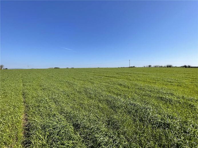 54.3 acres Land, London Apprentice, St. Austell PL26 - Available