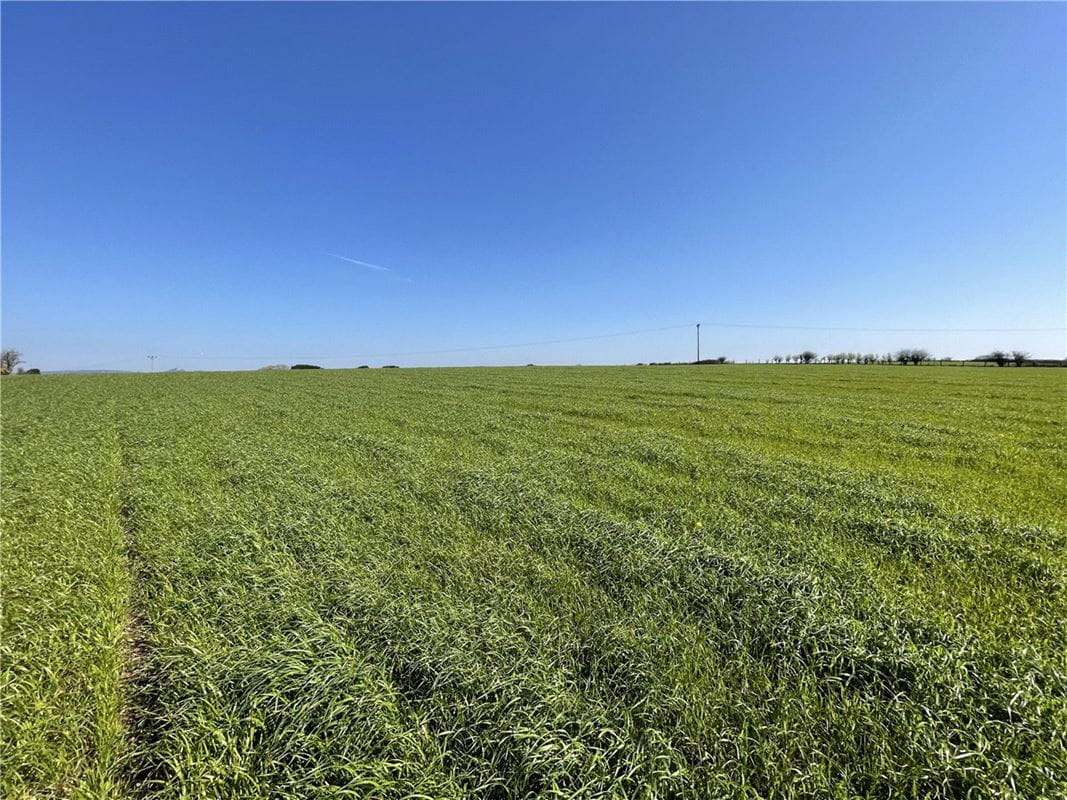 54.3 acres Land, London Apprentice, St. Austell PL26 - Available