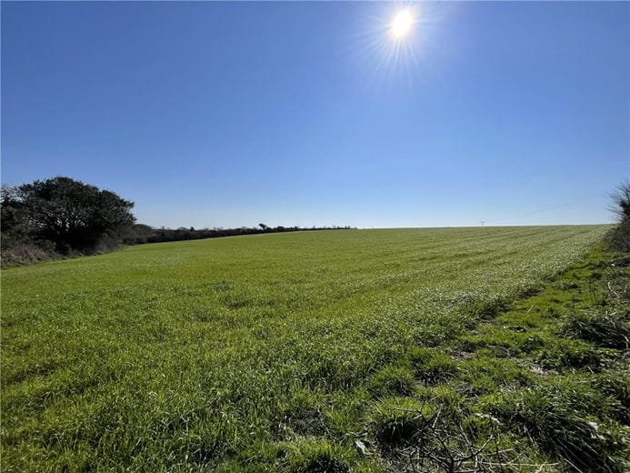 54.3 acres Land, London Apprentice, St. Austell PL26 - Available