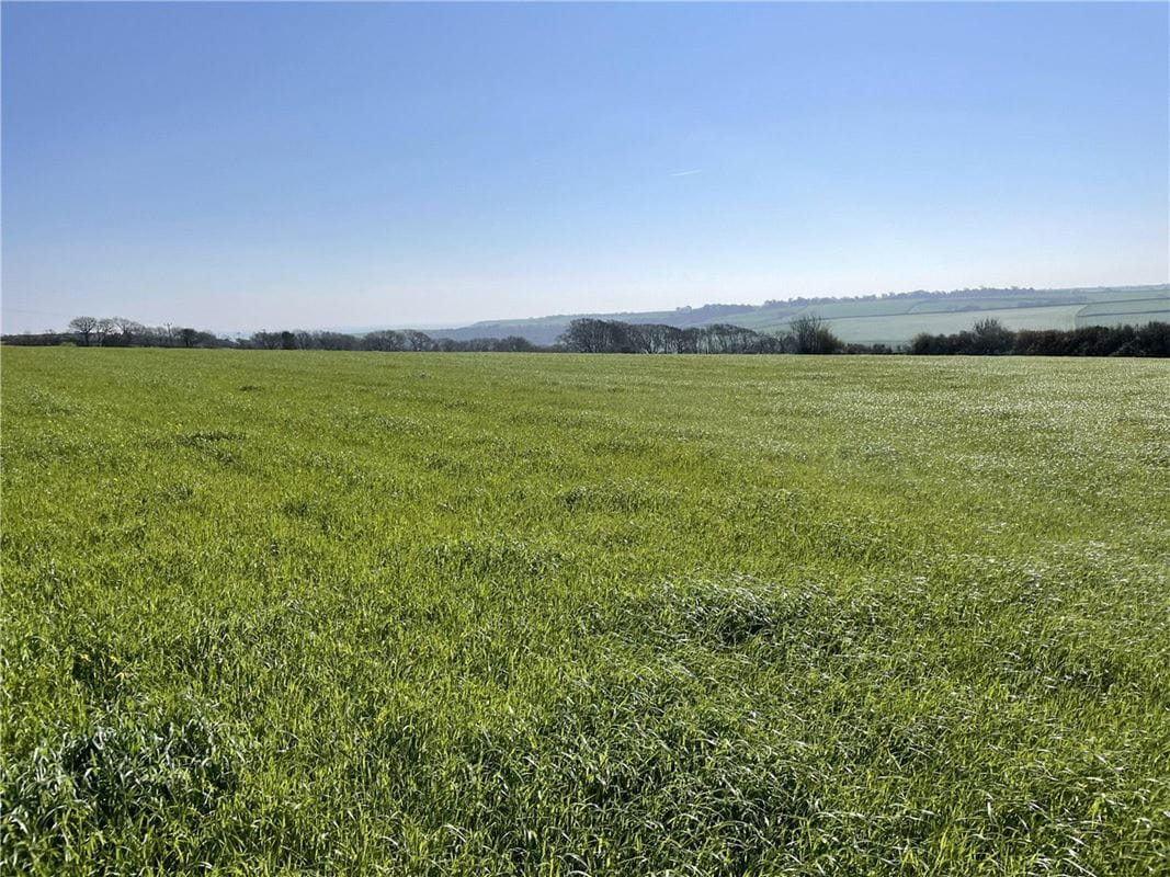 54.3 acres Land, London Apprentice, St. Austell PL26 - Available