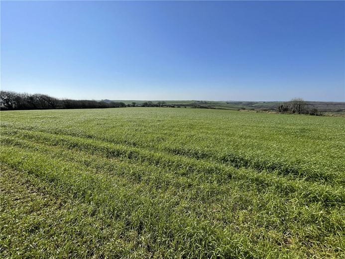 54.3 acres Land, London Apprentice, St. Austell PL26 - Available