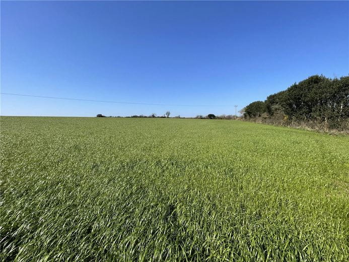 54.3 acres Land, London Apprentice, St. Austell PL26 - Available