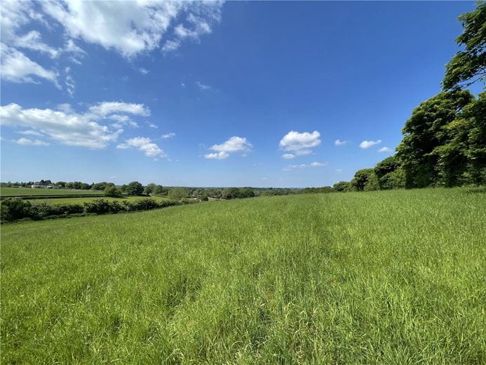 15.2 acres Land, Ecchinswell, Newbury RG20 - Sold