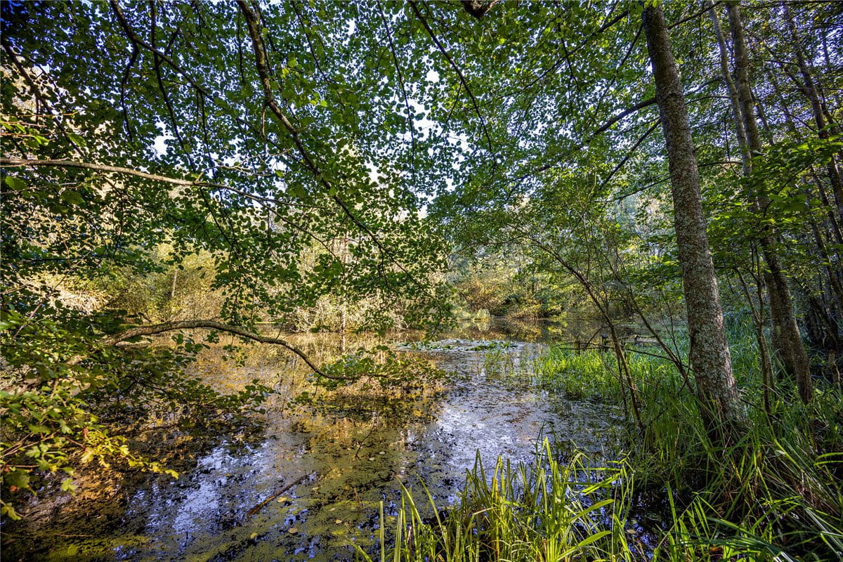 1.4 acres Land, Lower Way, Thatcham RG19 - Sold