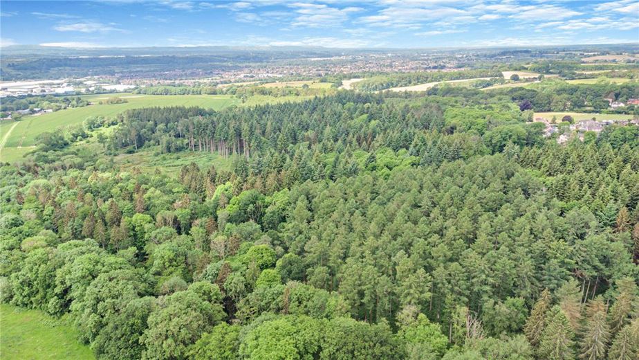 77.2 acres Land, Broad Lane, Upper Bucklebury RG7 - Available