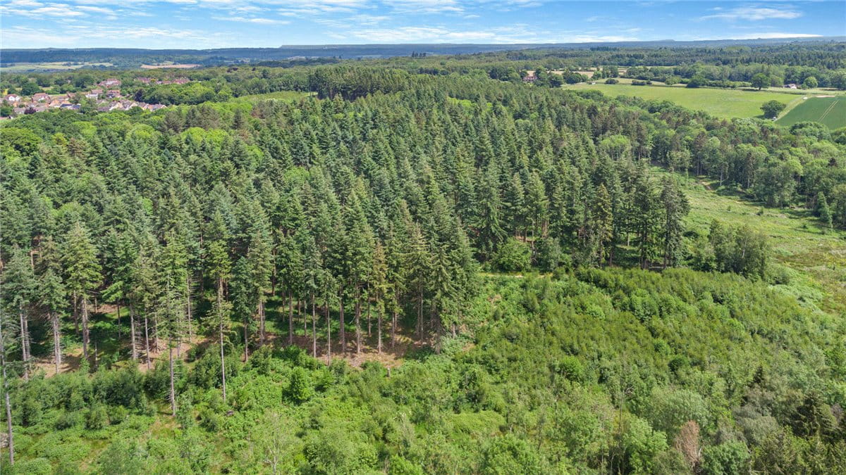 77.2 acres Land, Broad Lane, Upper Bucklebury RG7 - Available