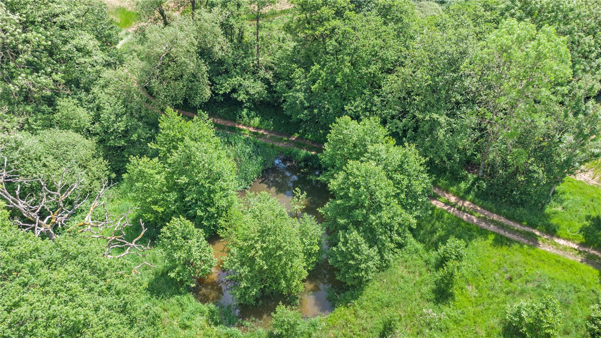 77.2 acres Land, Broad Lane, Upper Bucklebury RG7 - Available