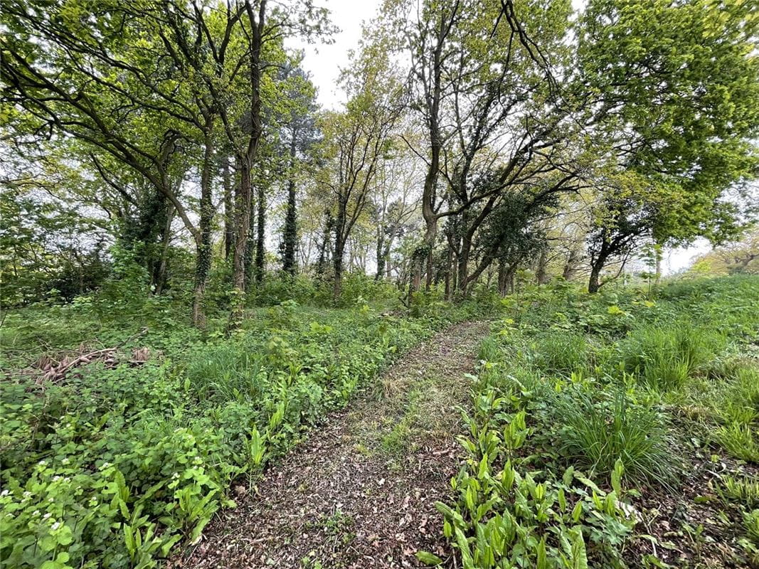 1.5 acres Land, Fawley, SO45 - Available