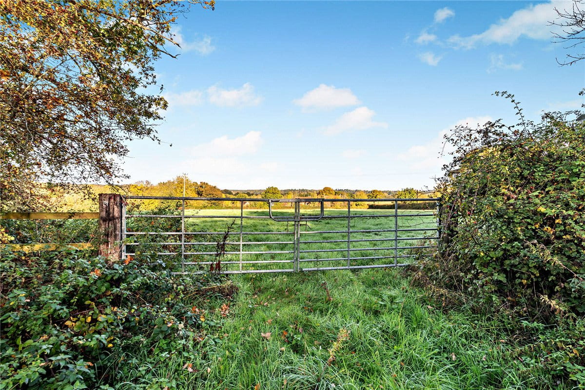 4.2 acres Land, Newbury, Berkshire RG14 - Available