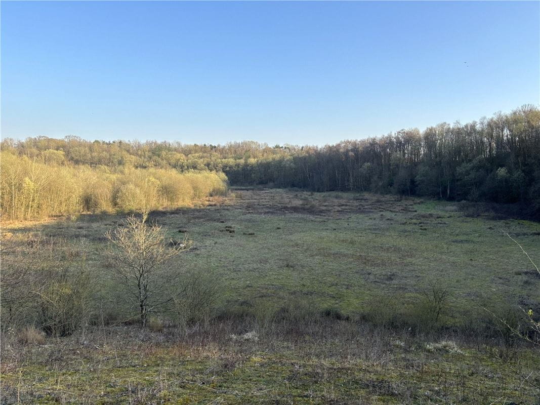  Land, Land At Charing,  - Available