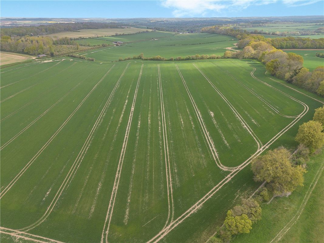 1,119.1 acres Farm, Tichborne, Alresford SO24 - Available