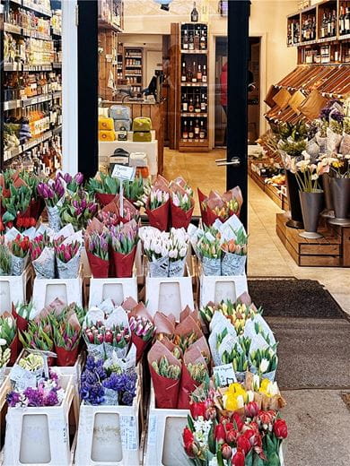 5 bedroom house, London Square Wandsworth Common, Springfield Drive SW17 - Available