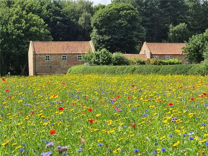 5 bedroom house, Selby Road, Holme-on-Spalding-Moor YO43 - Sold